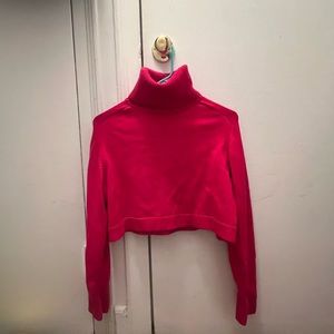 Pink Zara Turtle Neck Sweater